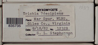 Image Associated With the Occurence